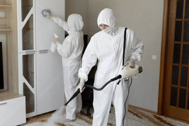 Best Toxic Mold Removal  in Beloit, WI