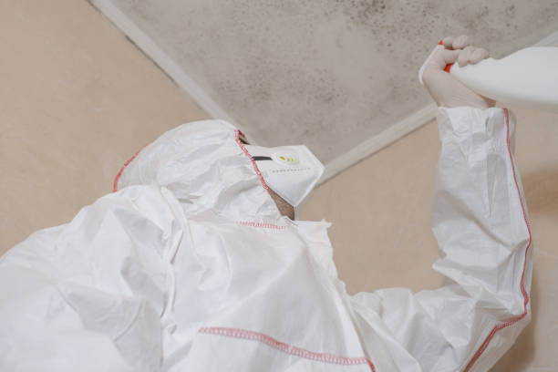 Best Residential Mold Removal  in Beloit, WI